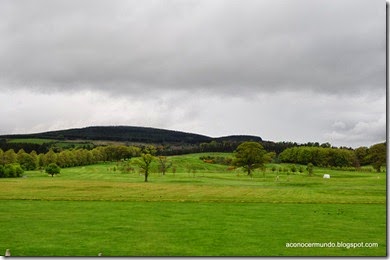 Powerscourt. Jardines - DSC_0013