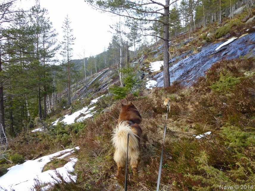 Suserud og Heiun (14)