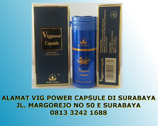 alamat vig power capsule di surabaya