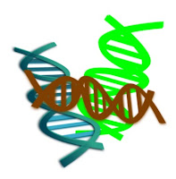 Comparing the genome to computer programs can work for a while, but it fails quickly. The four-dimensional genome's amazingly complex operating system shows that there is no way it could have evolved.