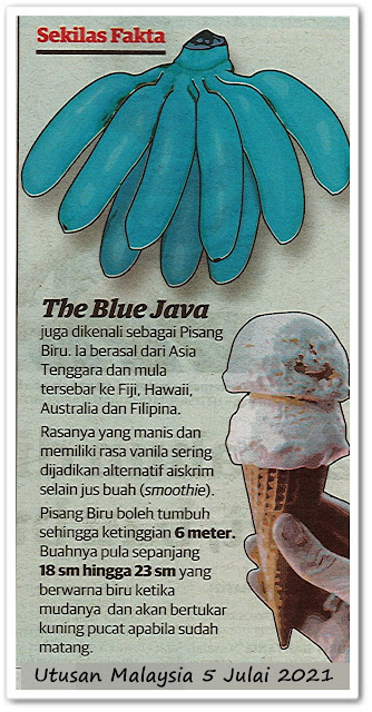 Sekilas fakta - The Blue Java