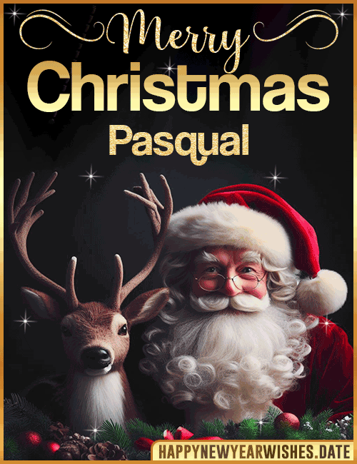 Merry Christmas gif Pasqual