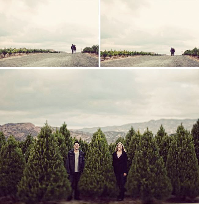 engagement photos with christmas pine trees