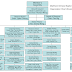 Table Of Organization Template