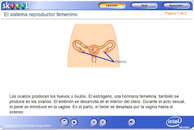 http://ww2.educarchile.cl/UserFiles/P0024/File/skoool/biologia/sistema%20reproductivo%20femenino/index.html