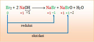 autoredoks, disproporsionasi, mengalami reduksi dan oksidasi, sebagai reduktor dan oksidator