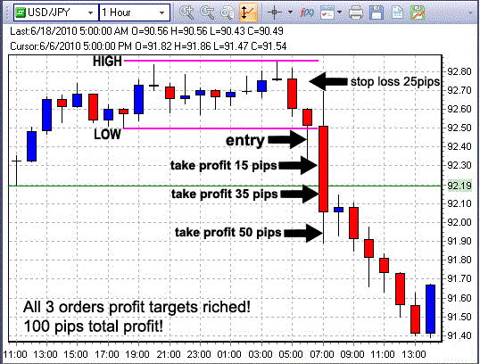 forex 100 pips a day