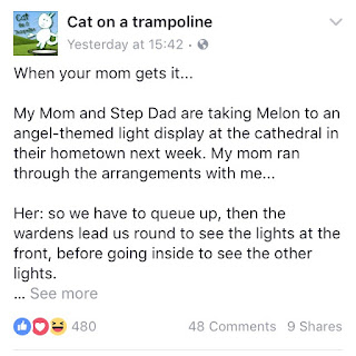 facebook image from Cat on a rampoline