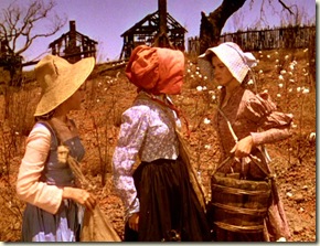 picking cotton in the fields at Tara 74
