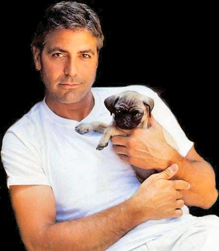 George Clooney photos