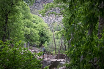 IMG_2438