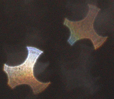 quadruple-indented orbs