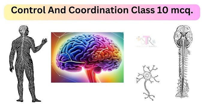 Control And Coordination Class 10 mcq