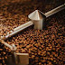 Apa Itu Coffee Roastmaster?