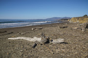 Lots of rocky beaches as you drive north. (sdim )