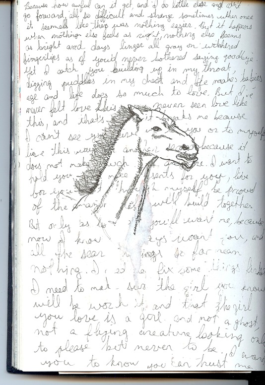 scan0001 (2)