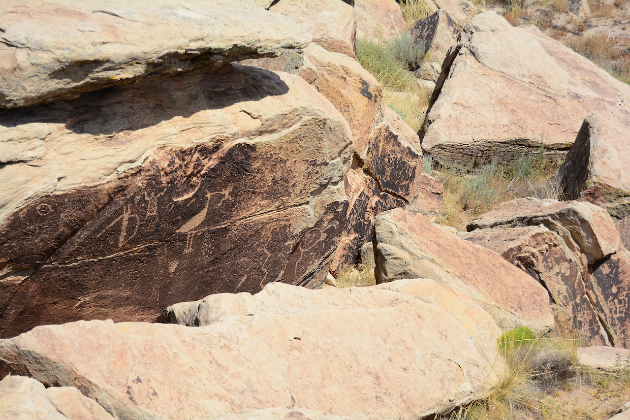 Petroglyphes Petrified Forest