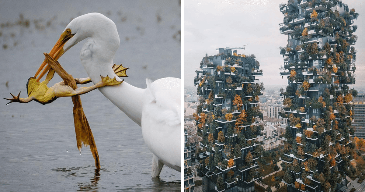 30 Mind-Blowing Photographs From The National Geographic Instagram Photography Contest