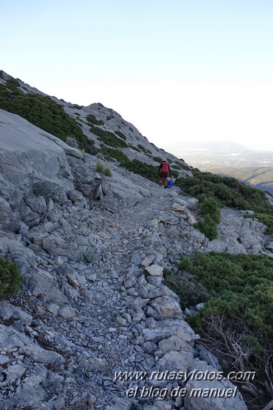Puerto Corona-Oreganeros-Torrecilla-Atalayas