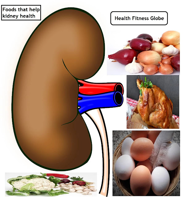 Foods-that-help-kidneys-health