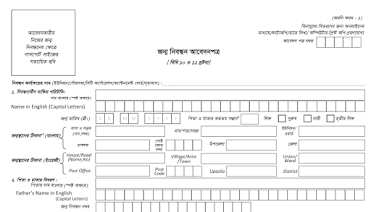 Birth Registration Application Form PDF