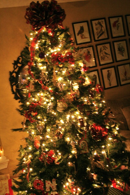 Christmas 2010 022