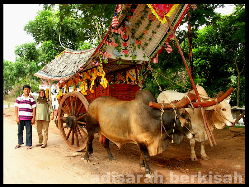 adisarah berkisah: Cuti di Melaka - Kereta lembu dari Melaka