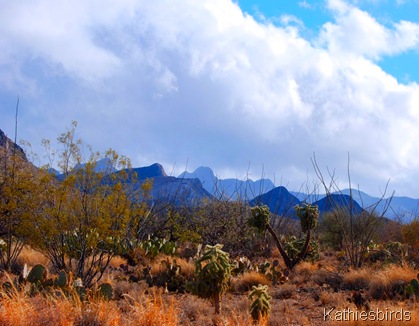 5-20-10 Skywatch Friday