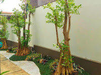Tukang taman Vertical garden Cirebon murah
