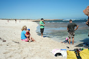 We found them sitting on the beach at the Blowholes because it had been too . (img )