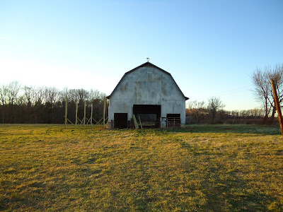 the barn project: starting the big barn lean to