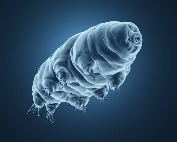 The Immortal Tardigrades: How these Microorganisms Cheat Death