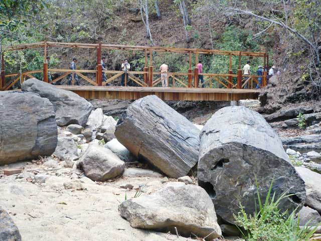 Bosque Petrificado de Puyango