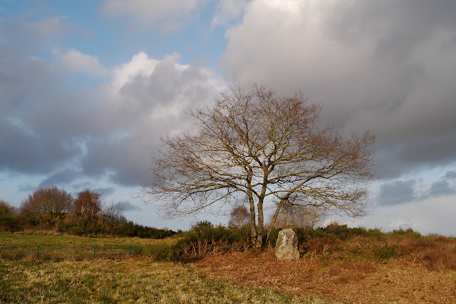 Les Mégalithes de saint-Just 35 ille et Vilaine dans les landes de Cojoux. ici,  près des  Alignements du Moulin