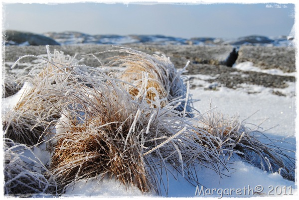 Verdens Ende 5