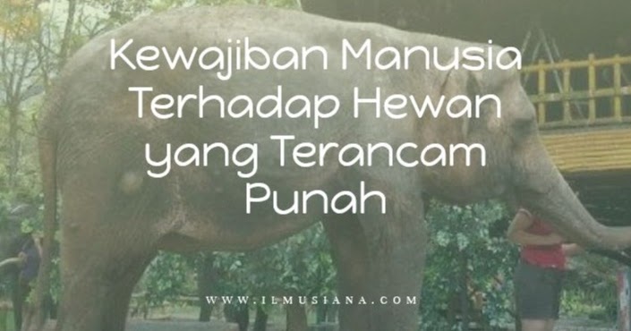 7 Kewajiban Manusia  Terhadap Hewan  yang Terancam Punah 