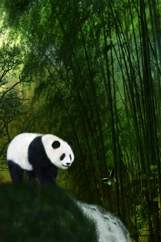 panda bamboos emma alvarez