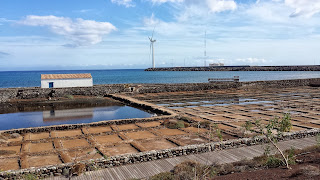 Salinas de Arinaga