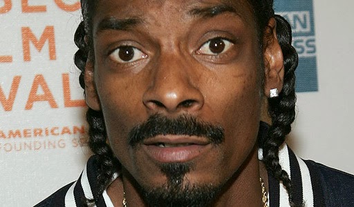 http://esefreeman.blogspot.com/2014/02/snoop-lion-accused-of-stealing-plasma.html