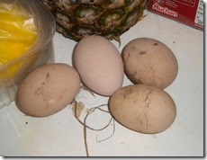 DSCN7656