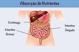 Atividades semana 27/09 a01/10 7º anos