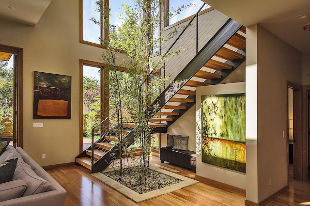 Modern stairs with plant growing by 