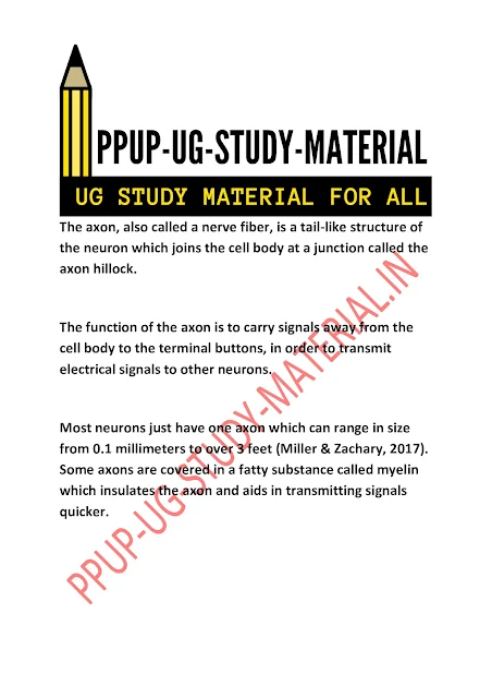 Neurons - Anatomy, structure, and Kind of Neurons | ppup part 1 psychology subsidiary ug study material download pdf