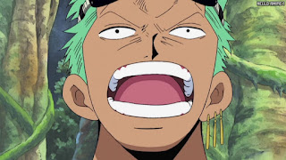 ワンピース アニメ 空島 スカイピア 165話 ロロノア・ゾロ Roronoa Zoro | ONE PIECE Episode 165 Skypiea