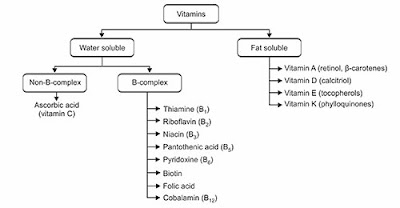 Klasifikimi i vitaminave