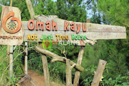 Wisata Omah Kayu Malang, Wisata Menarik Dengan Alam Eksotis Di Batu Malang