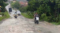 Jalan Palas Rusak, Lesty: Pemkab Lamsel Jangan Tutup Mata