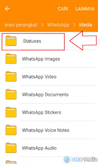 Cara Menyimpan Story/Status di WhatsApp dengan Mudah dan Cepat
