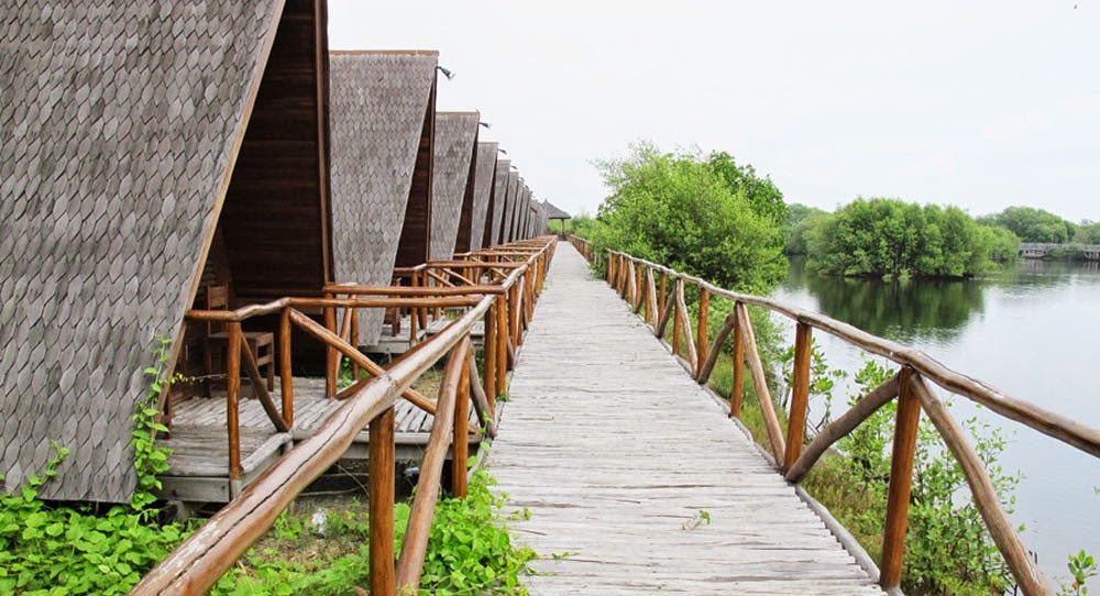 Wisata Taman Mangrove Daerah Kapuk Jakarta Utara 