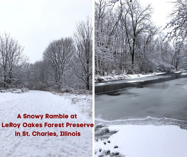 A Snowy Ramble at LeRoy Oakes Forest Preserve in St. Charles, Illinois